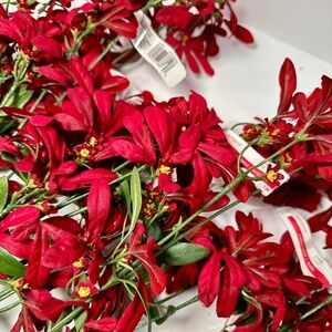 Red Velvet Faux Floral Stems — Holiday Poinsettia Style Picks